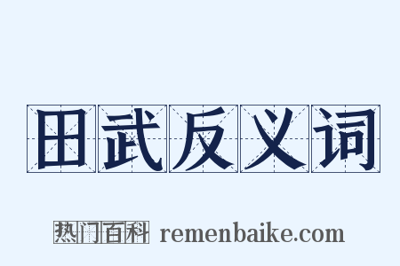 田武反义词是什么意思的图片